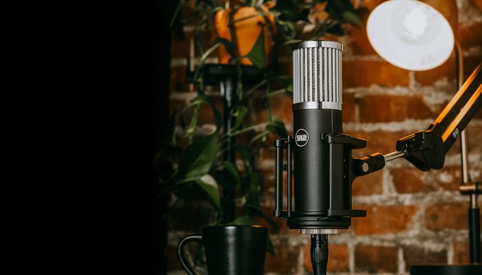 512 Audio Skylight Studio Condenser Microphone / Accesories Review (Pt. 2)