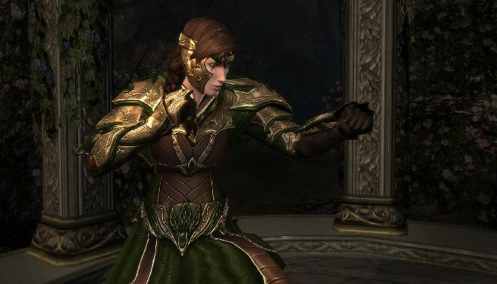 New Detailed Look Released for the Brawler in Lord of the Rings Online