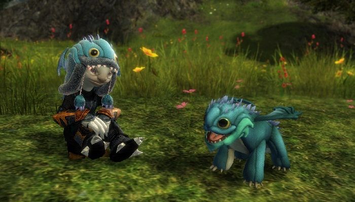 Test All End of Dragons Elite Specializations When Guild Wars 2 Opens Final Beta Event Tomorrow