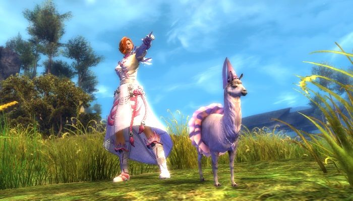 Guild Wars 2 – New Guild Hall Revealed, New Character Customizations to Test Now in End of Dragons Beta