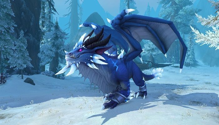 WoW Dev Responds to Community Questions on Dragonflight PvP Concerns