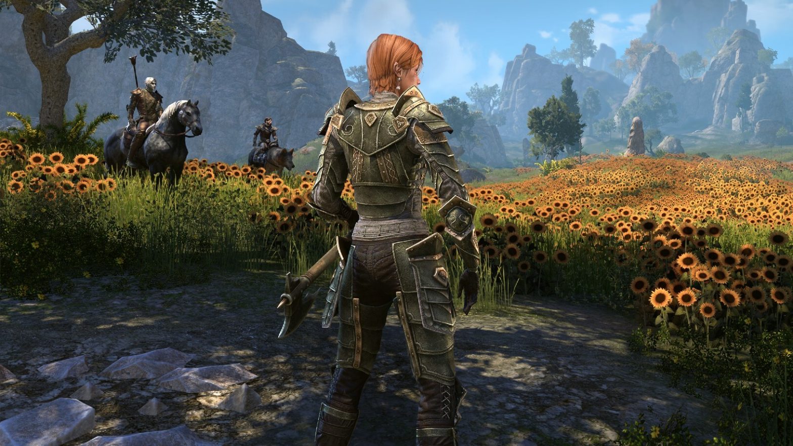 Elder Scrolls Online Bans Hundreds Ahead of High Isle Launch