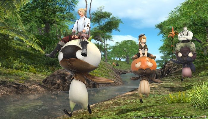 Final Fantasy XIV Experiencing ‘Congestion’ Issues Under Island Sanctuary Demand