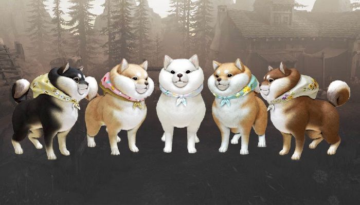 Lost Ark Pulls Shiba Inu Temporarily Over Pricing Error, Addresses CAPTCHA Bug, and Powerpasses Go Live